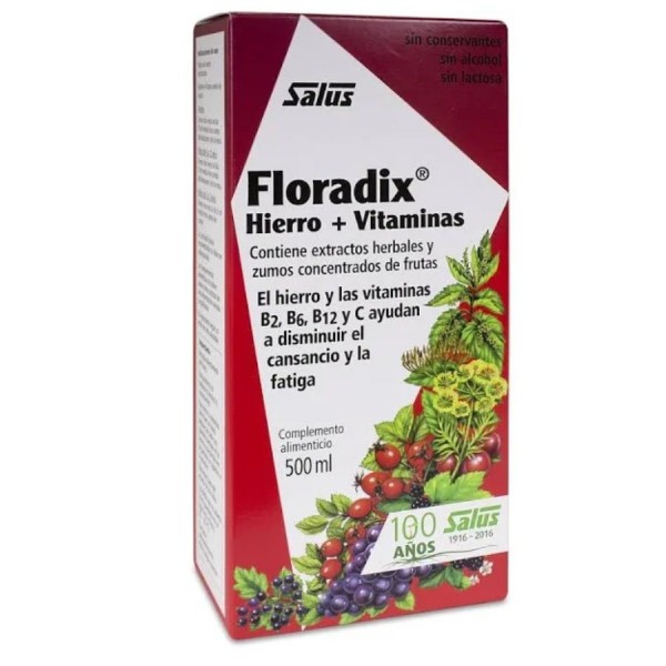 floradix 500 ml salus